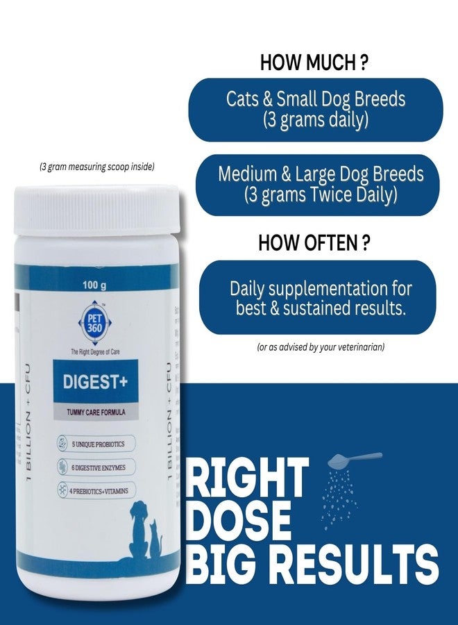 PET360 Digest+ Tummy Care Formula | Gut Health Supplement for Dogs & Cats | Probiotics, Prebiotics, Digestive Enzymes & Vitamins for Improved Digestion & Immunity | Suitable for All Breeds - 100 gm - Image 3